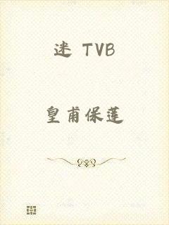 迷 TVB